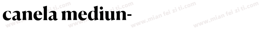 canela mediun字体转换